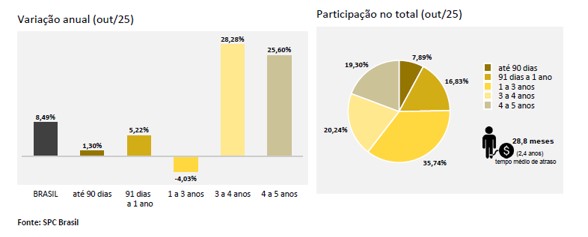 Inadimplência de pessoas físicas tem novo crescimento e atinge 72,17 milhões de consumidores no país, aponta CNDL e SPC Brasil