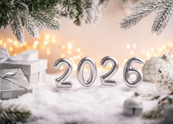 Consumidores pretendem gastar em média R$ 380 com comemoração do Ano Novo, aponta pesquisa CNDLSPC Brasil