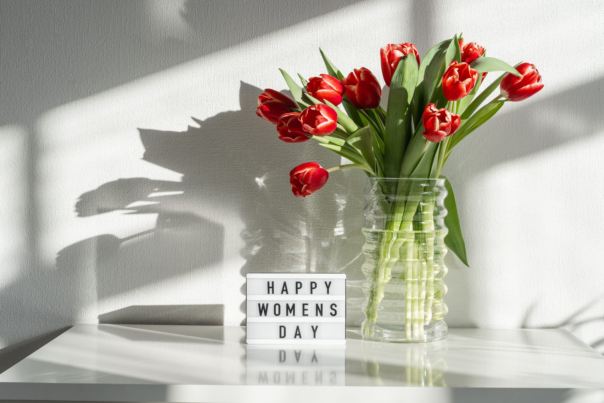 Mês da Mulher: a moda como expressão de autoestima e identidade